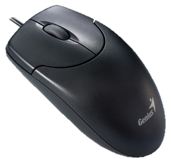 EGF
